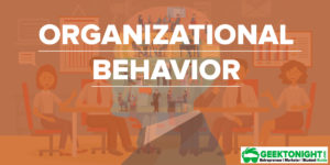 Read more about the article What is Organizational Behavior?